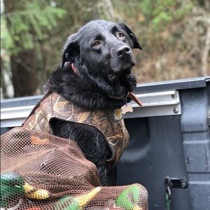 Meet your Posher, Justin